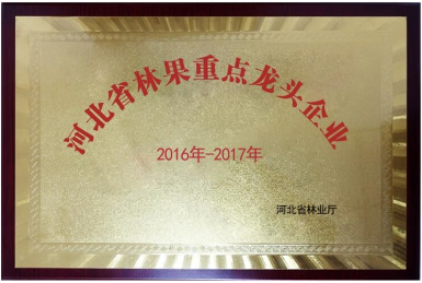我公司荣获“2017年度河北省林果产业龙头企业”称号