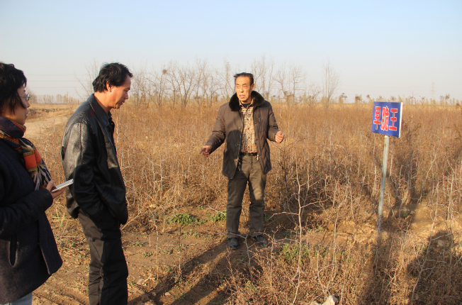 北京农林科院领导来我公司参观考察